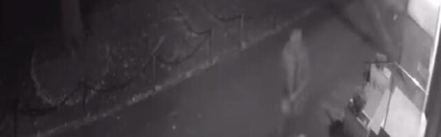 Čoveka umalo da ubije drvo u tokom nevremena u Beogradu (VIDEO)