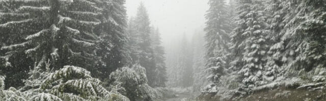 Сви путни правци проходни, на путевима присутан снег, поледица и магла