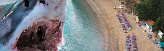 BRUTALAN NAPAD MORSKOG PSA! Dečak (12) se bori za život nakon što ga je izujedala ajkula, zadobio je teške povrede obe noge! Horor u Sidneju na "Plaži ajkula"