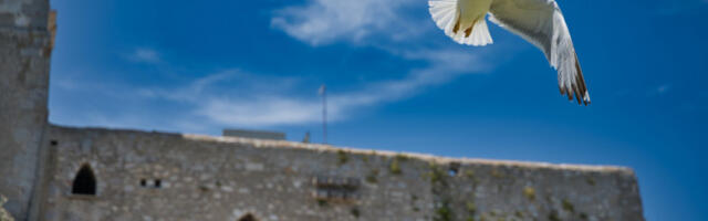 Кипар је жртва рата са Ираном