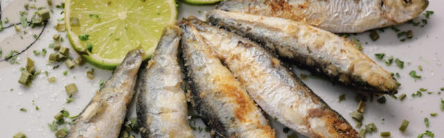 Najzdravija riba na svetu je ujedno i najjeftinija