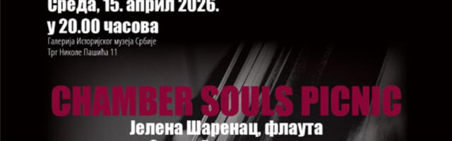 Ciklus koncerata “Muzikom kroz muzej”: Chamber Souls Picnic