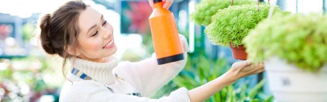 Pekarski kvasac je eliksir za biljke: Zalijte ih tri puta mesečno ovim rastvorom i gledajte kako bujaju