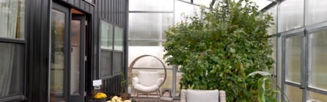 Živela je na ulici, a danas ima dom iz snova od 30 kvadrata: Njena priča dira pravo u srce