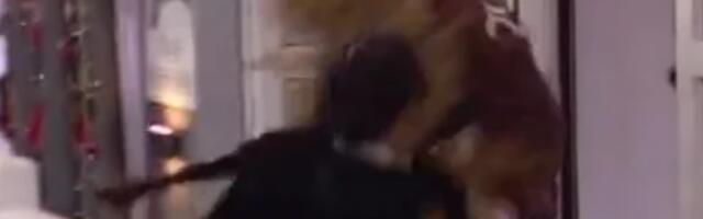 OBEZBEĐENJE ULETEO U BELU KUĆU! Car URLA na Maju, RASKRINKAO je, otkrio šta je pričala o Tijani Ajfon, ona ušla u CRVENO! (VIDEO)