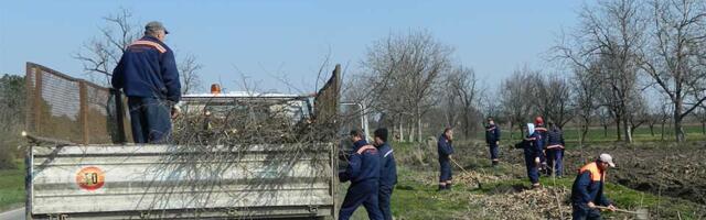 Zrenjanin godinama zanemaruje važno pitanje: Nula dinara za podizanje vetrozaštitnih pojaseva
