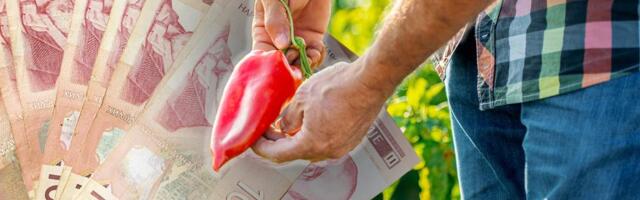 "Ustajem u 5, u selu radno vreme ne postoji!" Poljoprivrednik otkrio da zarađuje više od ljudi u gradovima: Sve što je domaće prodam po duploj ceni!