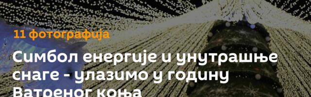 Симбол енергије и унутрашње снаге - улазимо у годину Ватреног коња