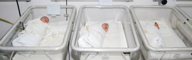 U Banatu se ovo još nije desilo: Nikad više prinova