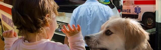 KAKAV PODVIG POLICAJCA HEROJA! Pas napao dete u Kragujevcu - ono što je učinio rasplakalo je celu Srbiju!