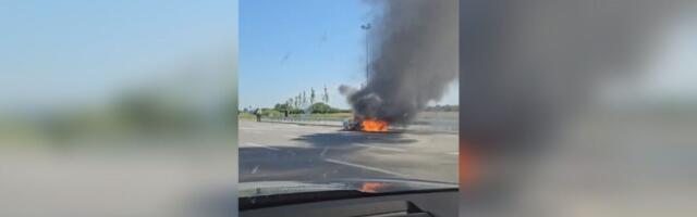 Buktinja na auto-putu kod Inđije: Zapalio se beli Mercedes, svi putnici odmah istrčali napolje (FOTO)(VIDEO)