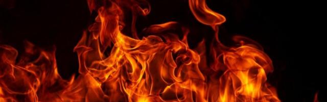 BUKNUO POŽAR KOD NOVOG SADA! Vatrogasci na licu mesta! (FOTO)