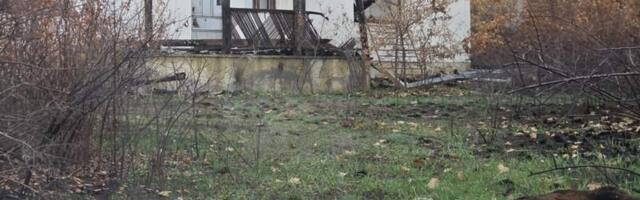 Sekicol – selo koje je spasila kiša, a ne sistem