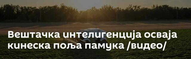 Вештачка интелигенција осваја кинеска поља памука /видео/