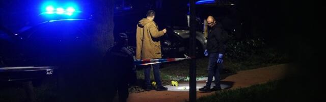 Pucnjava u selu kod Prokuplja, policija ranila dilera