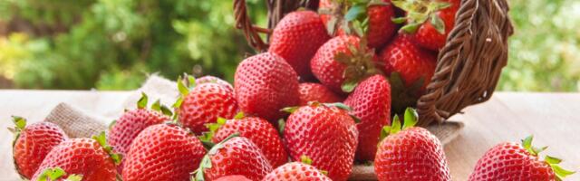 5 razloga da još više zavolite jagode