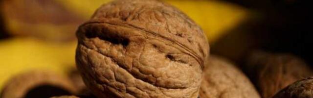 Šaka ovih oraha može da spase vaše srce: Nauka potvrdila veliku korist