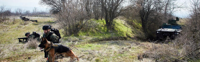 Обука јединица за реализацију војнополицијских задатака
