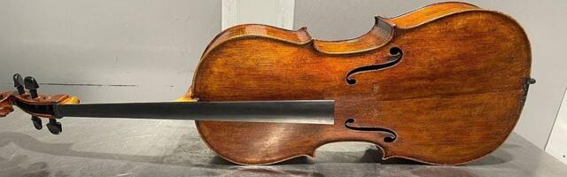 FOTO: Carinici na beogradskom aerodromu zaplenili dva violončela stara 150 i 200 godina