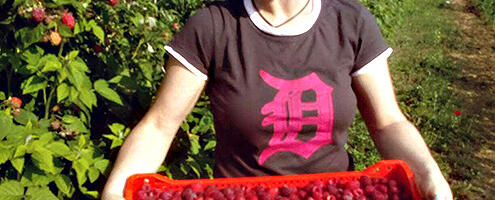 Poljoprivrednici zaduženi do guše, Ministarstvo tvrdi nema razloga za brigu