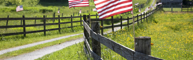 Loženje na politiku u Americi