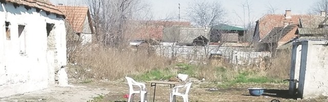 Šok u Crnoj Gori! U dvorište porodične kuće u Podgorici uskočio najveći balkanski predator!