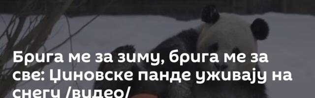 Брига ме за зиму, брига ме за све: Џиновске панде уживају на снегу /видео/