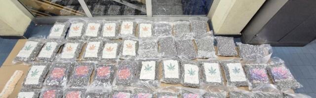 MUP SE OGLASIO: Pao Čačanin sa 50 kilograma marihuane u Novom Sadu