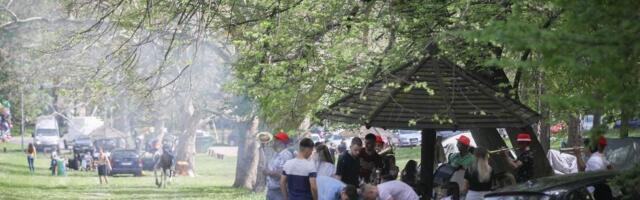 Ako idete u prirodu ovo morate da znate: Iz trave vrebaju opasni gmizavci i paraziti - evo kako da se zaštitite