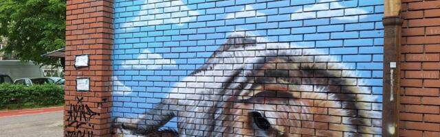 Marko iz Niša napravio potez kome se svi dive: Napravio mural svom vernom prijatelju koga su svi voleli