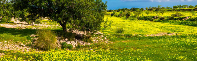 Danas nešto svežije i promenljivo oblačno: Temperatura do 25 stepeni