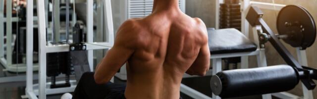 Savršen 'početnički' trening za leđa