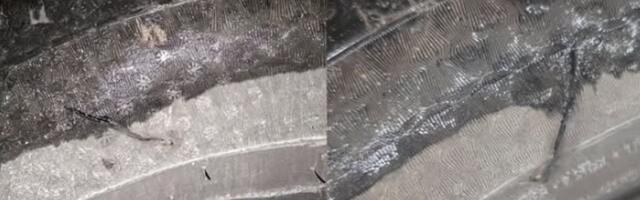 FOTO: Novosadskim posmatračima izbora u Mionici isečene gume na vozilima