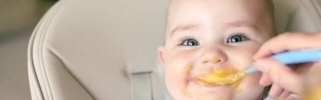 Povučena hrana za bebe: Evo šta je u njoj pronađeno
