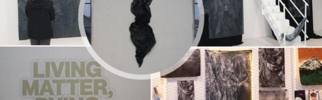 UMETNOST KOJA DIŠE SA BEOGRADOM: Sveta Sher i savremena umetnost u srcu grada