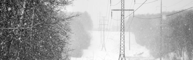 Sneg izazvao kvarove na elektromreži u zapadnoj i centralnoj Srbiji: Oglasili se nadležni