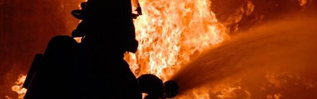 Vanredno stanje u SAD: Tri vatrogasca poginula u borbi sa požarima
