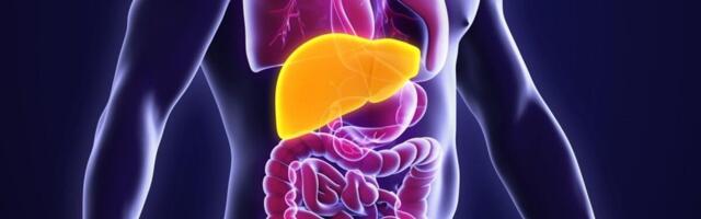 Ovo je jasan znak da vam je jetra bolesna! Doktor je otkrio kako da sigurno znate da imate problem sa njom