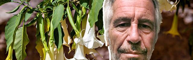 NOVI ŠOK IZ EPSTAJNOVIH FAJLOVA Milijarder se interesovao za biljke koje pretvaraju ljude u "zombije"?!