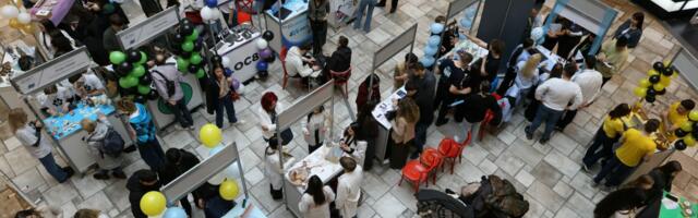 Komplet za izradu otiska šape, sprej za peglanje i biljni terarijum: Proizvodi srednjoškolaca iz Beograda