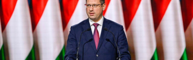 Гуљаш: Висока излазност резултат мобилизације Фидеса, имамо већину