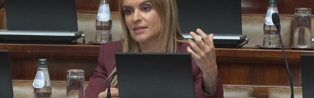 "MERE DRŽAVE U OBLASTI DEMOGRAFIJE DAJU REZULTATE" Đurđević Stamenkovski u Skupštini: U prethodnoj godini isplaćeno 44,5 milijardi samo za roditeljski dodatak