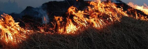 Iz MUP-a apeluju na građane da ne spaljuju nisko rastinje i ne lože vatru blizu šuma. Visoke temperature ove nedelje, idu na ruku razvoju požara