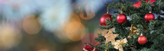 Genijalan trik sa Instagrama: Jelka "iz kante" postala hit (VIDEO)