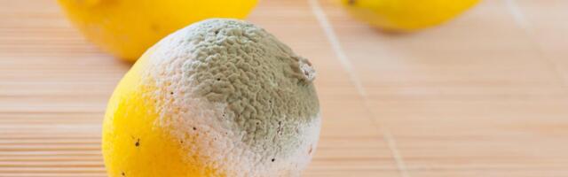 Sočan kad god vam zatreba: Evo kako da limun ostane svež i pun soka duže od tri nedelje!