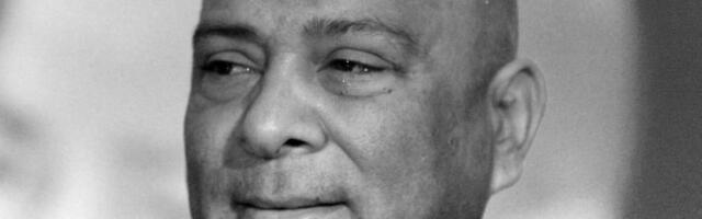 UDARALI JE KAMENOM U GLAVU, PA TELO BACILI U UVALU I POKRILI GRANJEM Detalji stravične tragedije od koje se Džej nikada nije oporavio