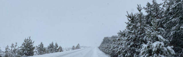 Снег, магла и поледица отежавају саобраћај у источној и јужној Србији