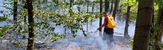 Zagrevanje klime utrostručilo broj dana pogodnih za teške šumske požare