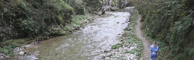 Strašni prizori iz Srbije uznemirili narod: Voda potopila sve, nemilosrdna bujica odnela i drveće