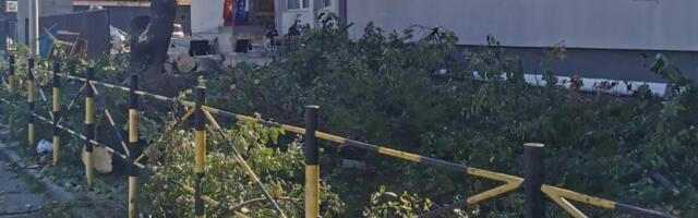 Drveće zamijenili betonom: Desetak stabala uklonjeno iz dvorišta OŠ “Stefan Nemanja”